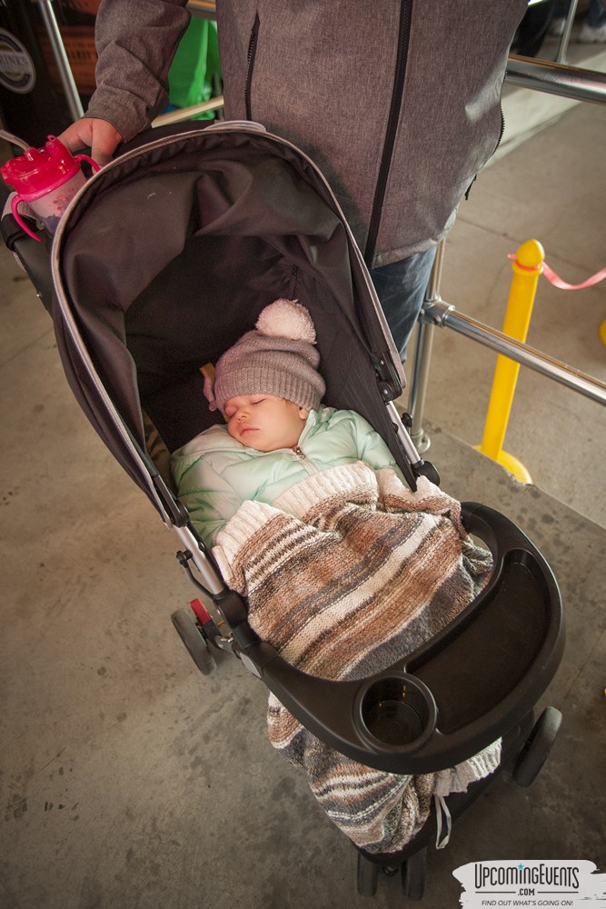 Photo from Mummers Mardi Gras Festival (Candid Gallery 1)
