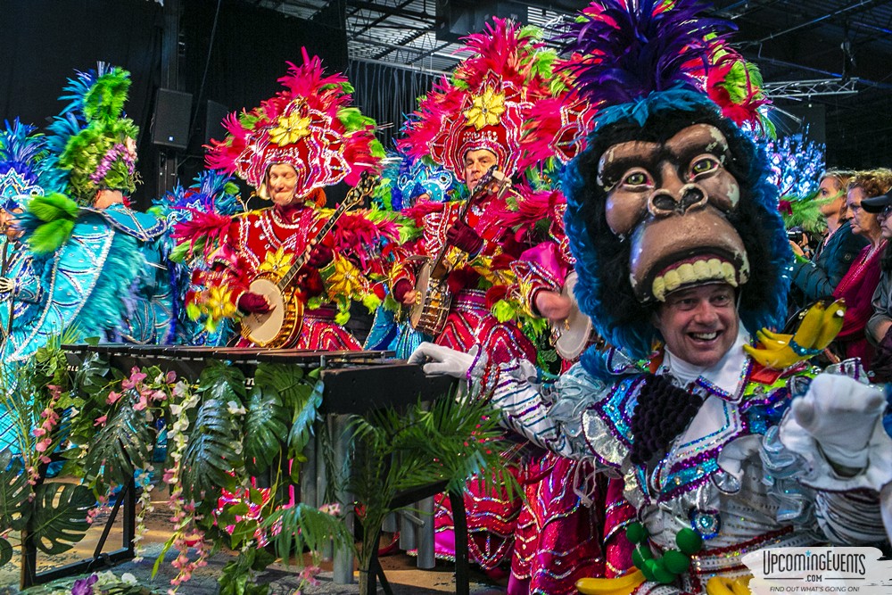 Photo from Mummers Mardi Gras Festival (Candid Gallery 2)