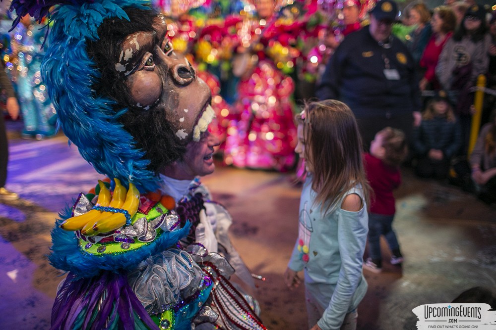 Photo from Mummers Mardi Gras Festival (Candid Gallery 2)