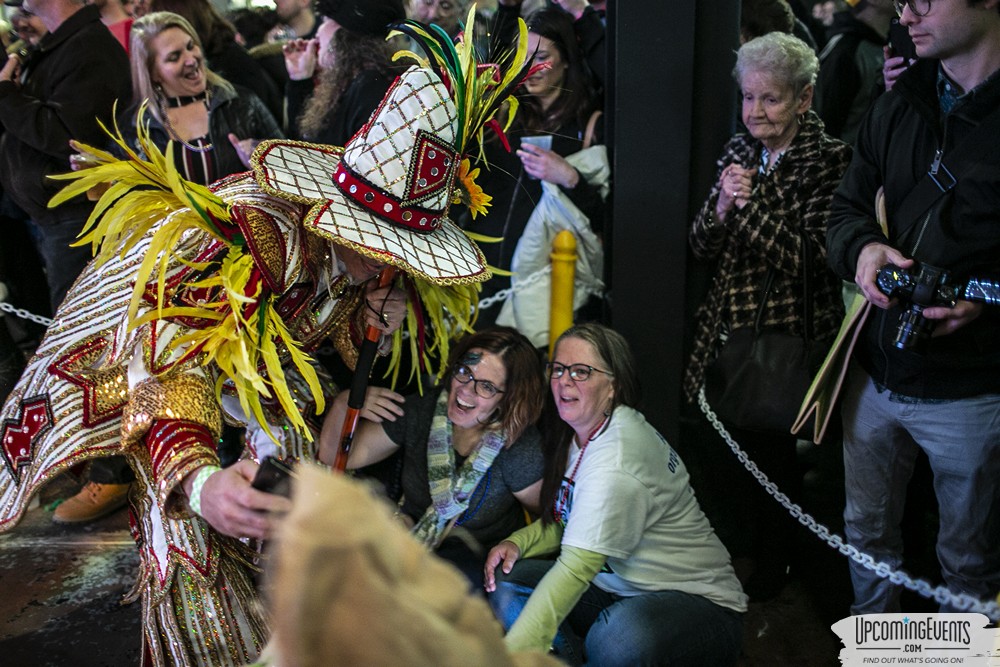 Photo from Mummers Mardi Gras Festival (Candid Gallery 2)