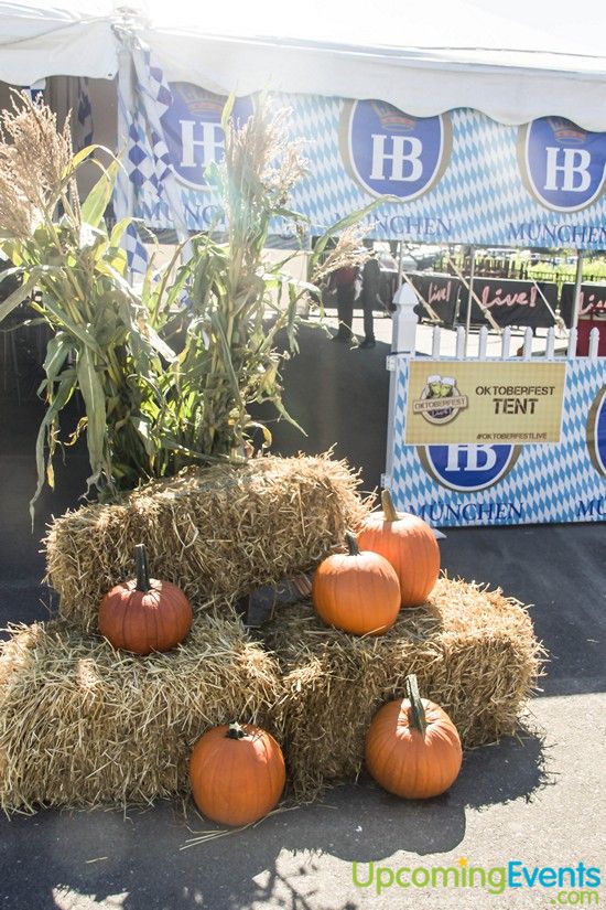 Photo from Oktoberfest Live! Craft Beer Festival 2014 (Gallery 4)