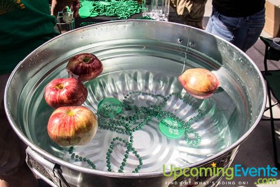 Photo from Oktoberfest Live! Craft Beer Festival 2014 (Gallery 4)