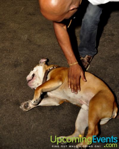 Photo from Philly Fashion Week 2010 (Saturday Gallery 2)