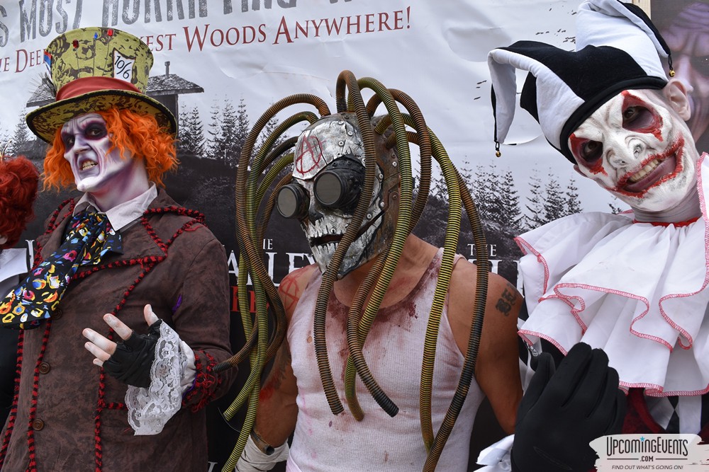 Photo from Philly PIZZA Fest - Gallery 4