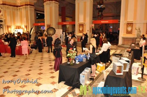 Photo from The 2009 Red Ball at The Please Touch Museum