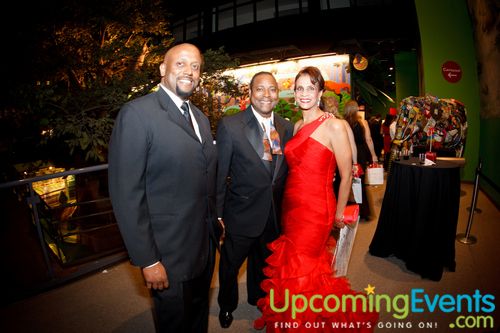 Photo from REd Ball 2012 Gallery 2