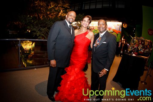 Photo from REd Ball 2012 Gallery 2