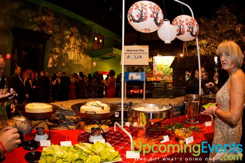 Photo from Red Ball 2012 Gallery 3