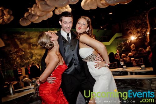 Photo from Red Ball 2012 Gallery 3