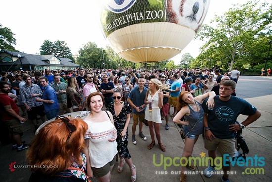 Photo from Summer Ale Festival at The Zoo!