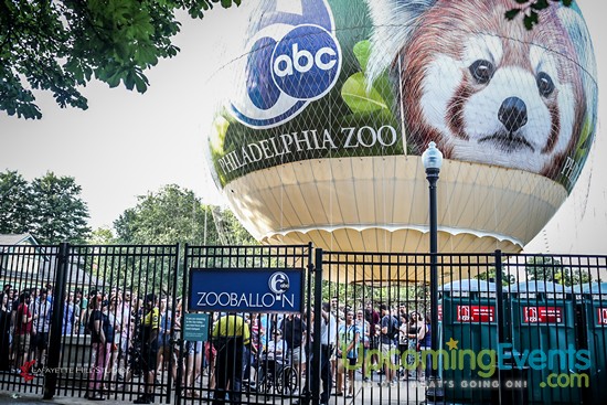 Photo from Summer Ale Festival at The Zoo!