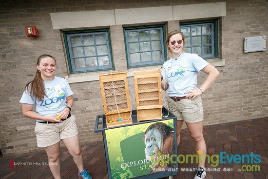 Photo from Summer Ale Festival at The Zoo!