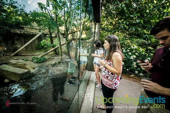 Photo from Summer Ale Festival at The Zoo!