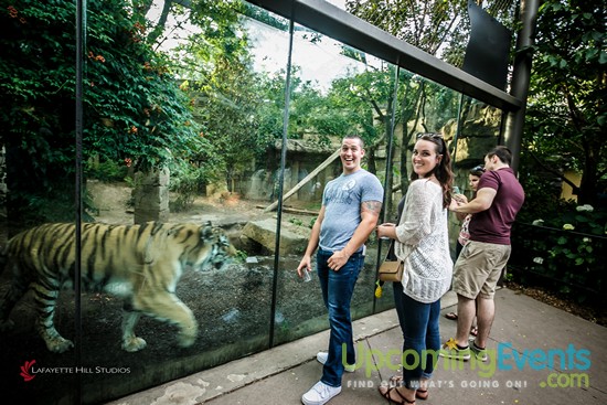 Photo from Summer Ale Festival at The Zoo!