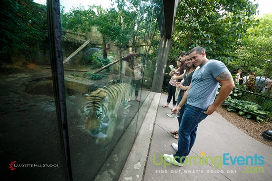 Photo from Summer Ale Festival at The Zoo!