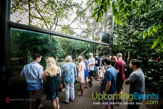 Photo from Summer Ale Festival at The Zoo!