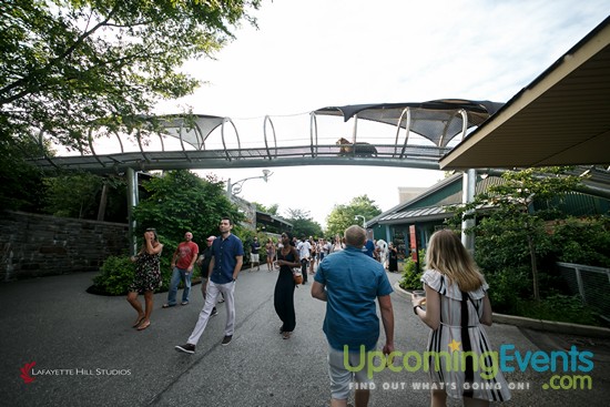 Photo from Summer Ale Festival at The Zoo!