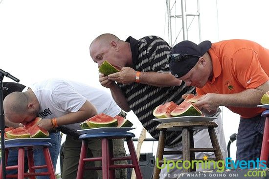 Photo from Summerfest 2014 (Gallery 1)
