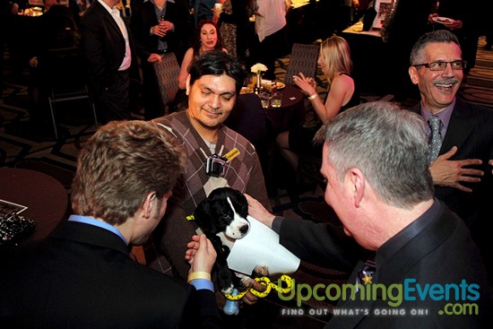 Photo from The 18th Annual Fur Ball
