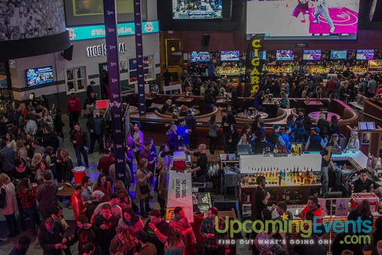Photo from Winterfest Live! 2016 (Gallery B)